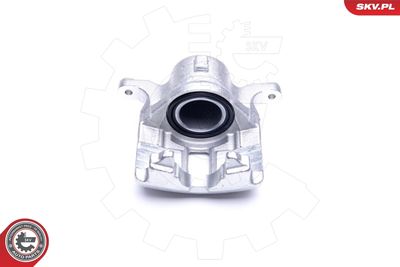 Brake Caliper 44SKV971