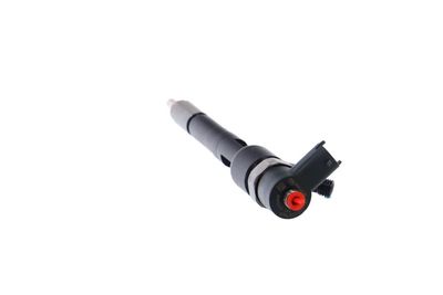 INJECTOR REMANTE 002003001717R 23