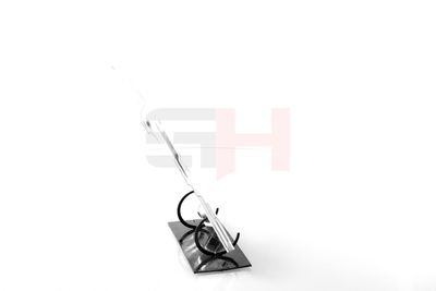 PROTECTIE STROPIRE DISC FRANA GH GH481550H 1