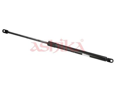 ZSA09018