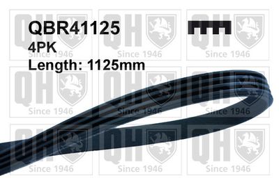 Поликлиновой ремень QUINTON HAZELL QBR41125 для MITSUBISHI L300
