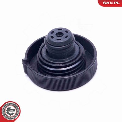 BUSON VAS EXPANSIUNE ESEN SKV 61SKV008 1