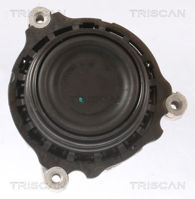 SUPORT MOTOR TRISCAN 850511108 1