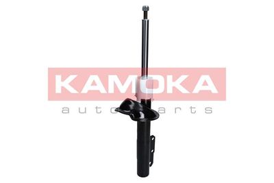 Shock Absorber 2000223