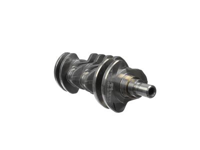 ARBORE COTIT ET ENGINETEAM HK0205 10