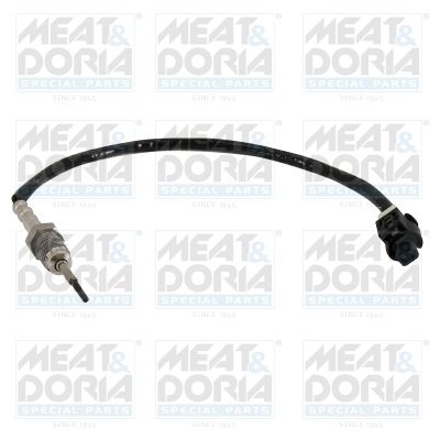czujnik, temperatura spalin MEAT & DORIA 12443