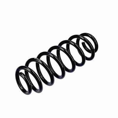 ARC SPIRAL EIBACH R13605 4