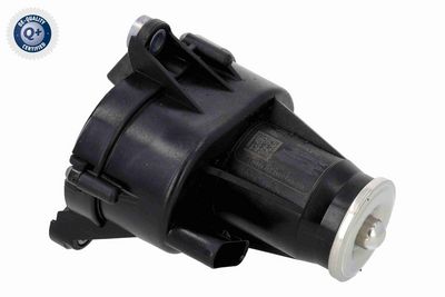 STELLELEMENT DRALLKLAPPEN (SAUGROHR) VEMO V30770104 5