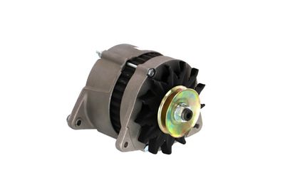 GENERATOR / ALTERNATOR REMANTE 011003000232R 49