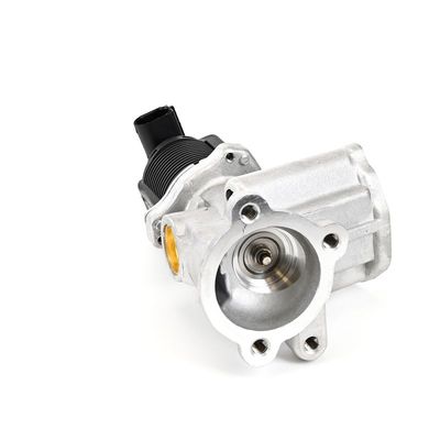 SUPAPA EGR DELPHI EG1064212B1 6