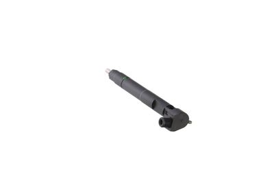 INJECTOR REMANTE 002003000176R 26