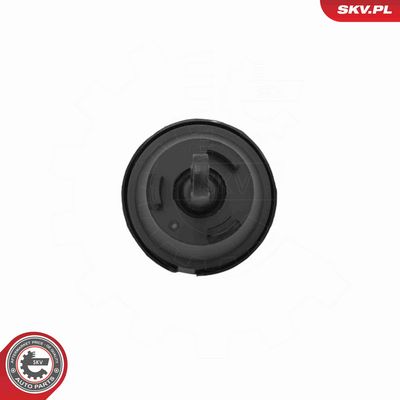 CARCASA CLAPETA ESEN SKV 12SKV153 3