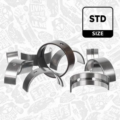 SET RULEMT ARBORE COTIT ET ENGINETEAM LH007700 2