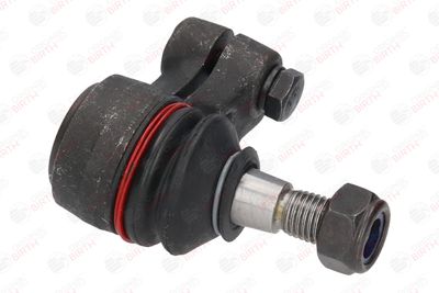 CAP DE BARA BIRTH RS0058 11