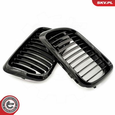 GRILA RADIATOR ESEN SKV 66SKV049 2
