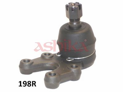 Шарнири ASHIKA 53-01-198R