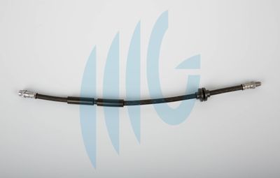 Тормозной шланг RICAMBIFLEX GM 02440634 для RENAULT KANGOO
