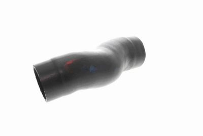 FURTUN EAR SUPRAALIMENTARE ACKOJA A529602 5