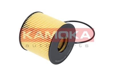 Oil Filter F105701