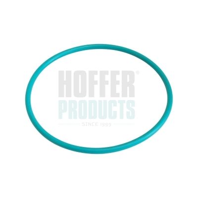 Уплътнение, тапа на горивния резервоар HOFFER GSK03
