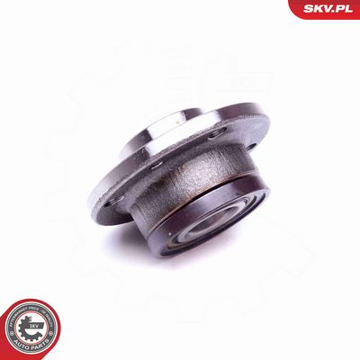 SET RULMENT ROATA ESEN SKV 29SKV419 3