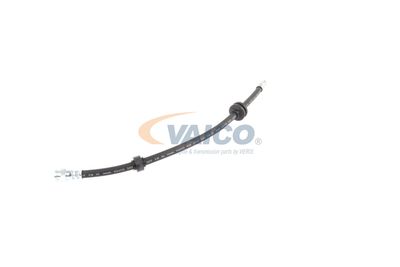 FURTUN FRANA VAICO V240328 20