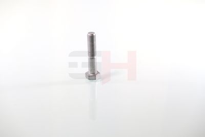 SURUB CAPAT DE AX GH GH392360 10