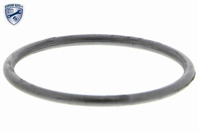 CARCASA TERMOSTAT VEMO V159920221 1