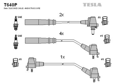 SET CABLAJ APRINDER TESLA T640P