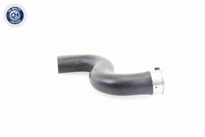 LADELUFTSCHLAUCH VAICO V103778 6