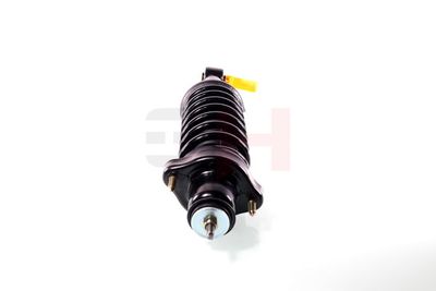 ANSAMBLU TELESCOP ARC GH GH333060C02 22