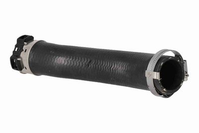 FURTUN EAR SUPRAALIMENTARE ACKOJA A520871 2