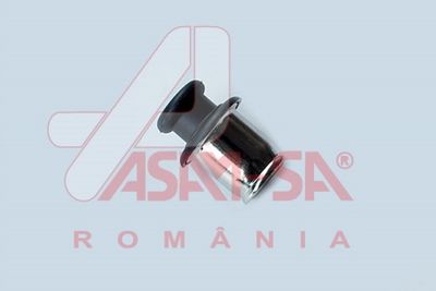 ASAM 32670 ASAM 32670