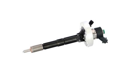 INJECTOR REMANTE 002003001315R 11