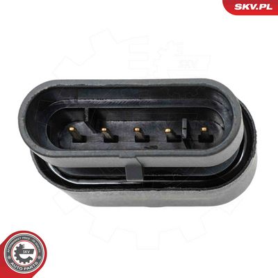 SENZOR APA ALIMENTARE COMBUSTIBIL ESEN SKV 17SKV996 3