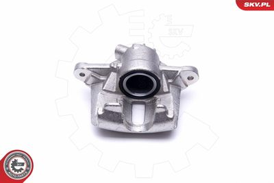 Brake Caliper 46SKV531