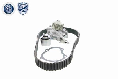 SET POMPA APA + CUREA DINTATA ACKOJA A510202W 7