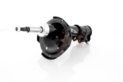 AMORTIZOR GH GH353503V 10