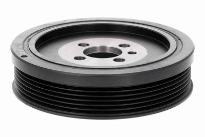 FULIE CUREA ARBORE COTIT VAICO V107701 2