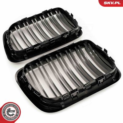 GRILA RADIATOR ESEN SKV 66SKV054 3