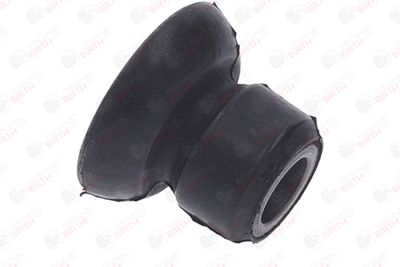 BUCSA ARBORE DE DIRECTIE BIRTH 40641 11