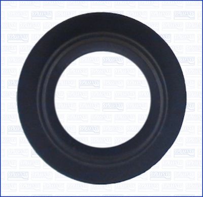 DICHTUNG ÖLAUSLASS (LADER)