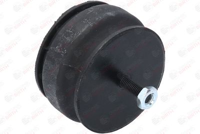 SUPORT MOTOR BIRTH 5527 6