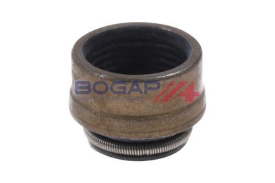 ETANSARE SUPAPE BOGAP A1343101 4
