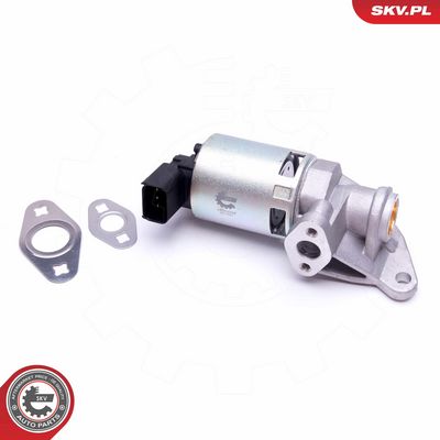 AGR-Ventil SKV 14SKV208