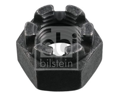 PIULITA CRENELATA FEBI BILSTEIN 09848 0