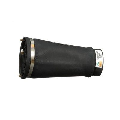 LUFTFEDER FAHRWERK Arnott A2202 27