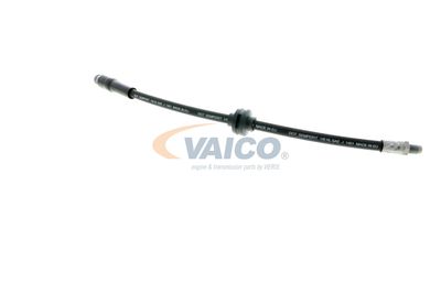 FURTUN FRANA VAICO V220627 29