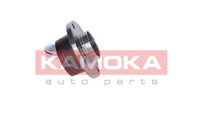 Wheel Bearing Kit 5500031