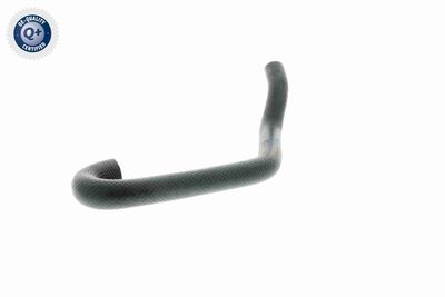 FURTUN RADIATOR VAICO V201701 4